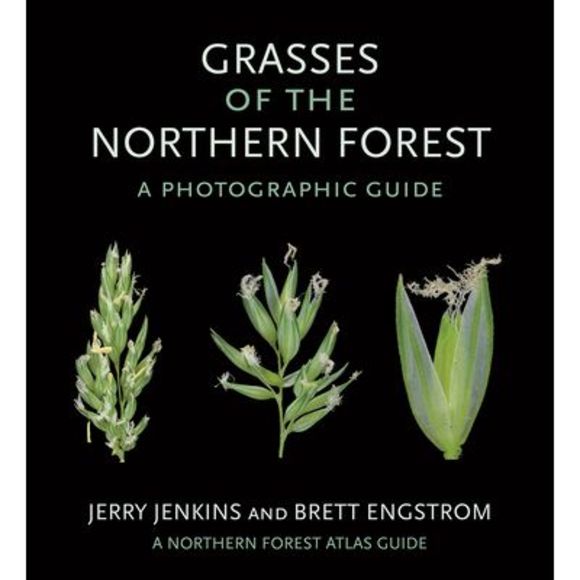 Grasses of the Northern Forest: A Photographic Guide -- Jerry Jenkins - Picture 1 of 1
